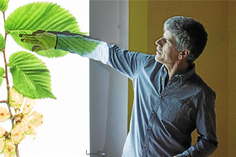 Jörg Brucklacher geht auf die biologischen Kennzeichen genauso wie auf die Sozialgeschichte der von ihm porträtierten Baumarten ein. Archivfoto: J. Fiedler