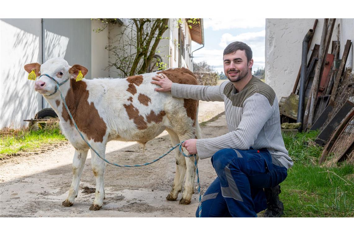 Metzger findet in Kuh den Ehering vom Bauern Johannes Brandhuber betreibt auf dem seit Generationen bestehenden Hof Rindermast - eine Kuh verschluckte seinen Ehering.