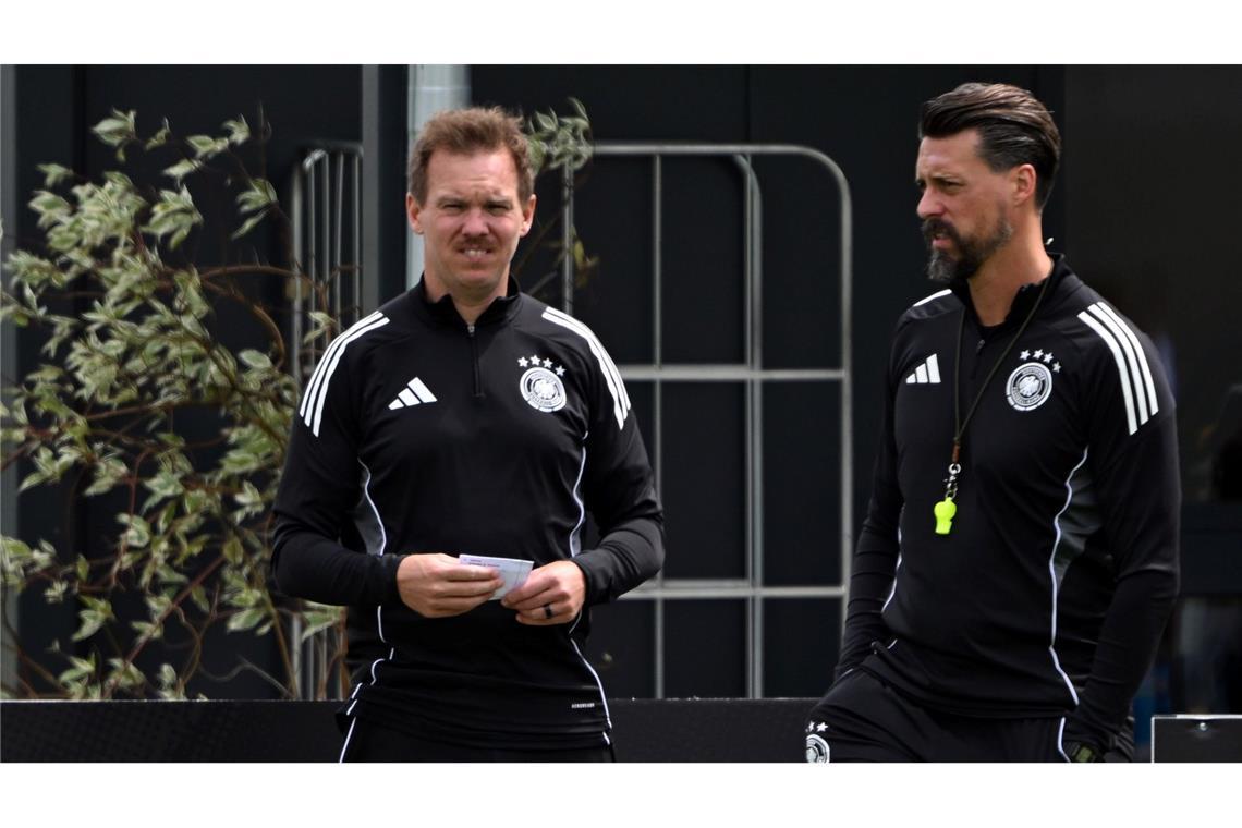 Spielerversteher Wagner und der letzte (kleine) Final-Job Julian Nagelsmann (l) und Sandro Wagner beim letzten gemeinsamen DFB-Training.