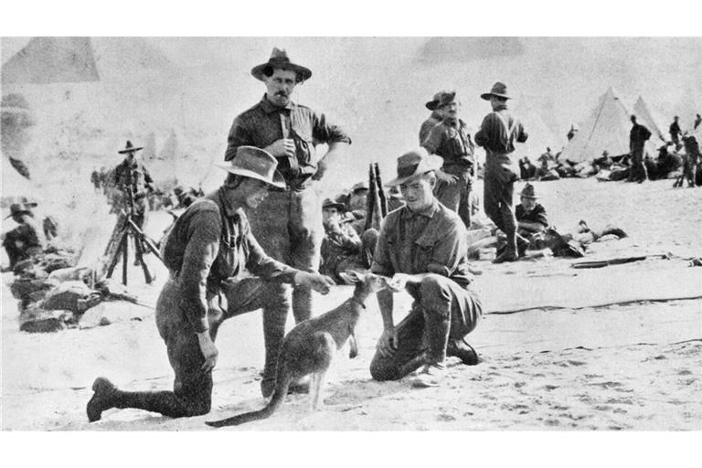 Kängurus waren beliebte Maskottchen bei australischen Soldaten.