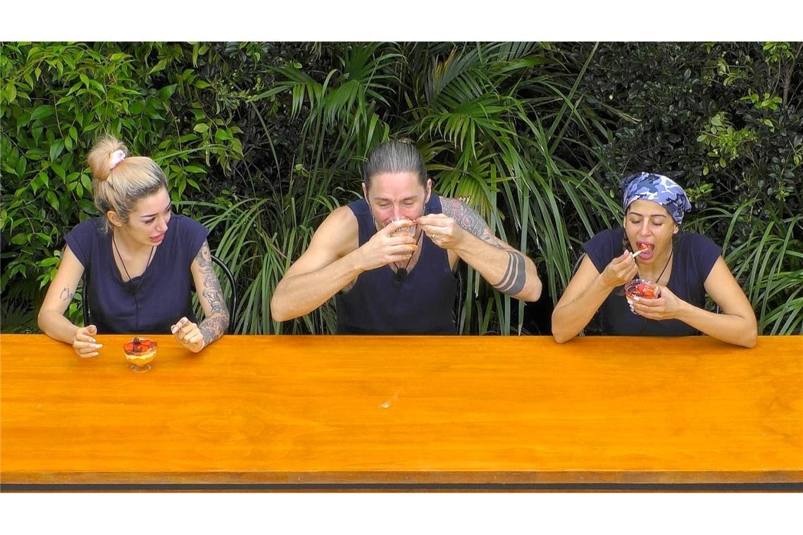 Kamelhirn und Kuhurin standen auf der Speisekarte.