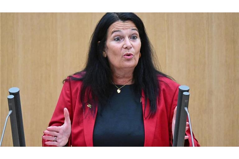 Katrin Steinhülb-Joos, schulpolitische Sprecherin der SPD-Fraktion im Landtag, will, dass Eltern bei Kita-Gebühren entlastet werden - noch bevor das verbindliche kostenlose Kita-Jahr kommt.