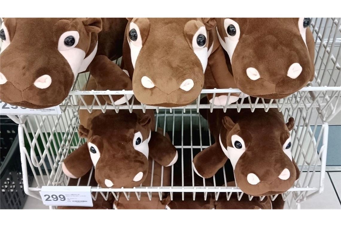 Ein Hippo-Mädchen als Kassenschlager: Das Phänomen Moo Deng Kinder in Thailand lieben Moo-Deng-Plüschtiere.