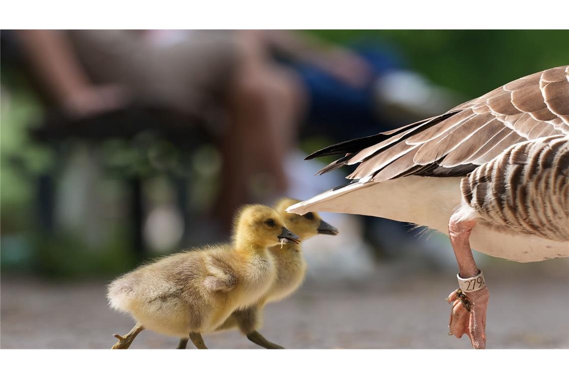 Bilder des Tages