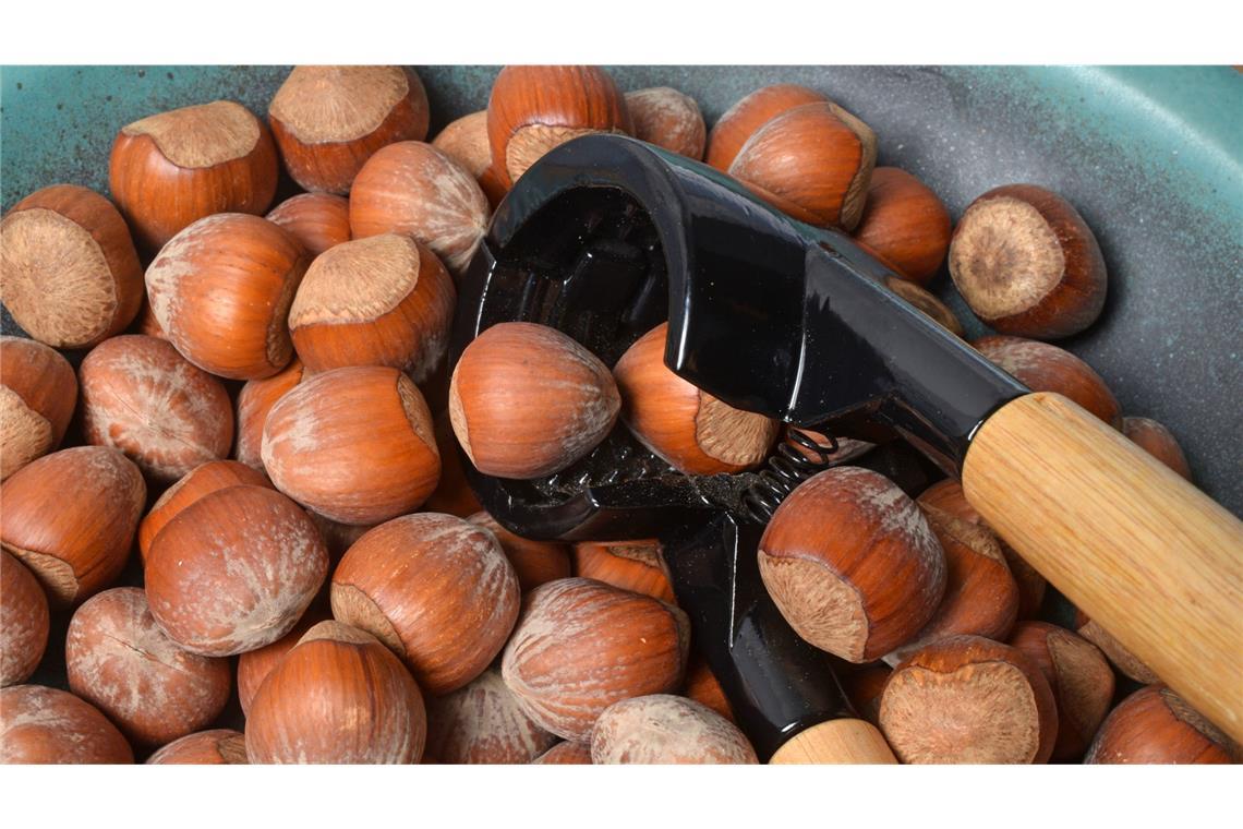 Klimawandel und Wanzenbefall sorgen für eine schlechte Haselnussernte. (Symbolbild).