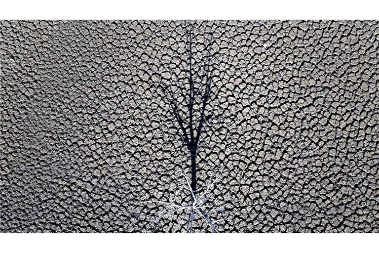 Klimazertifikate aus Drittländern könnten künftig mit EU-Emissionen verrechnet werden. (Symbolbild)