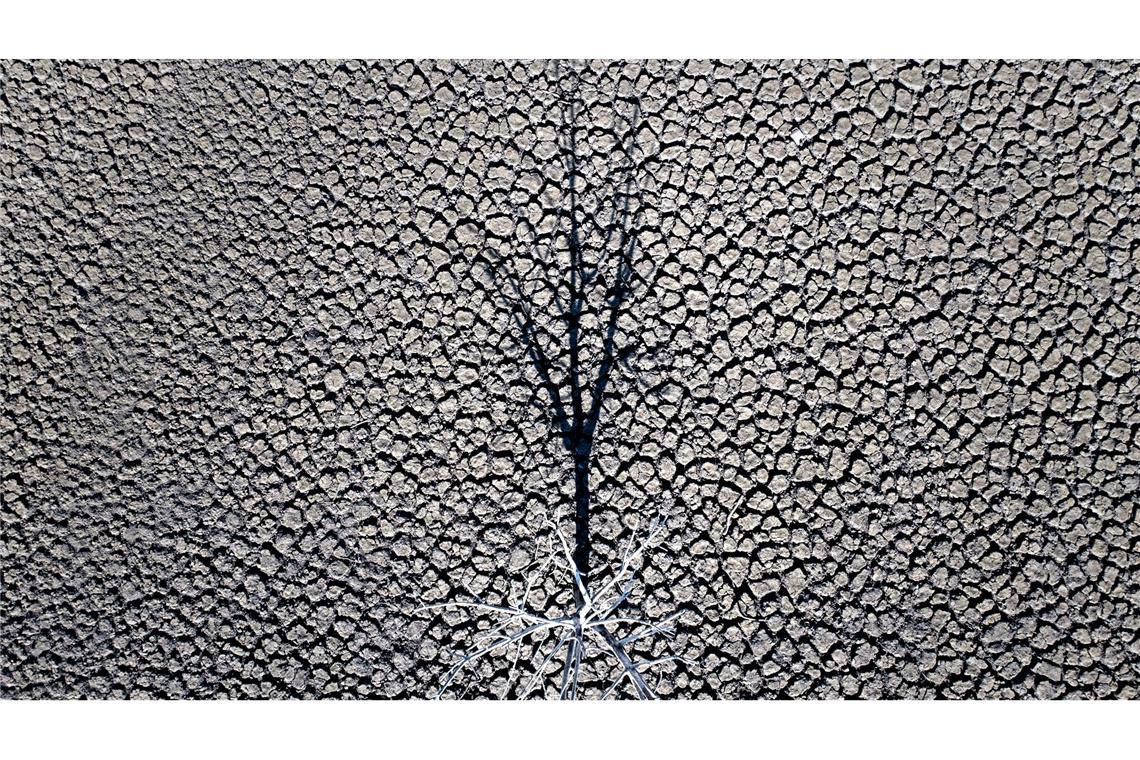 Klimazertifikate aus Drittländern könnten künftig mit EU-Emissionen verrechnet werden. (Symbolbild)