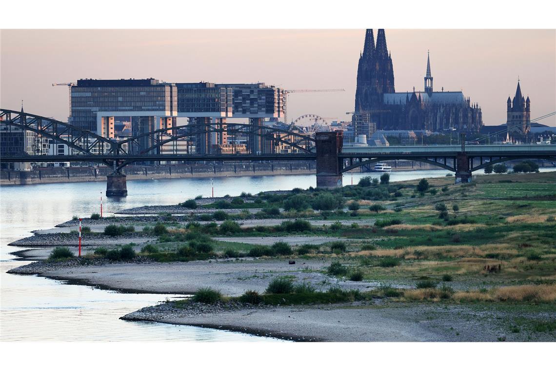 Party, Dreck und Drogen: Wer rettet "das deutsche Neapel"? Köln wählt am Sonntag einen neuen Oberbürgermeister bzw. eine neue Oberbürgermeisterin. (Archivbild)