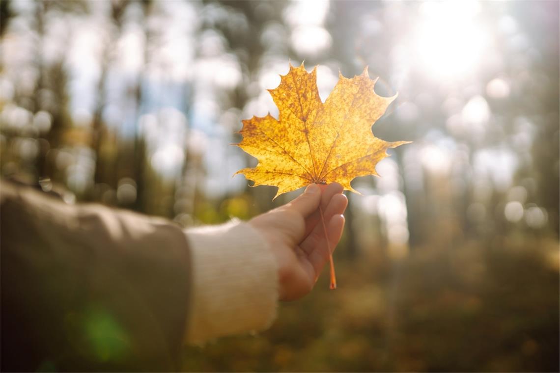 Wann kommt die Sonne wieder? Kommt der goldene Oktober noch?