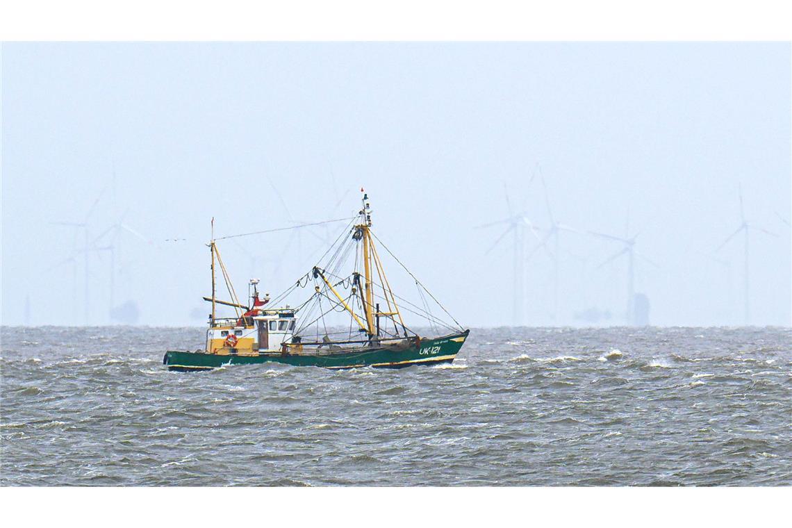 EU-Gericht nickt Fangverbote in der Nordsee ab Krabbenfischer verlieren vor Gericht (Foto-aktuell).