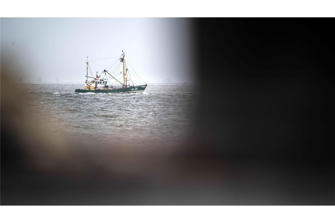 EU-Gericht nickt Fangverbote in der Nordsee ab Krabbenfischer verlieren vor Gericht (Foto-aktuell).