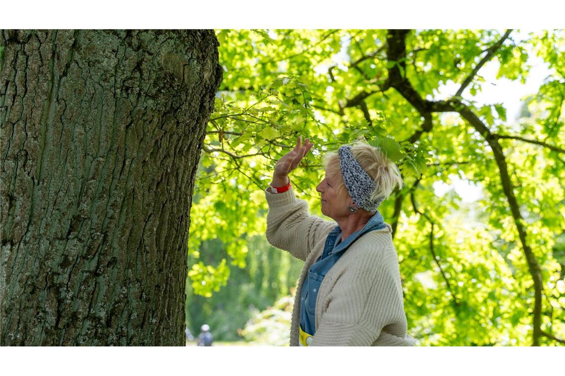 Kreativität und Innigkeit sind gefragte Aspekte beim Baum-Umarmen.