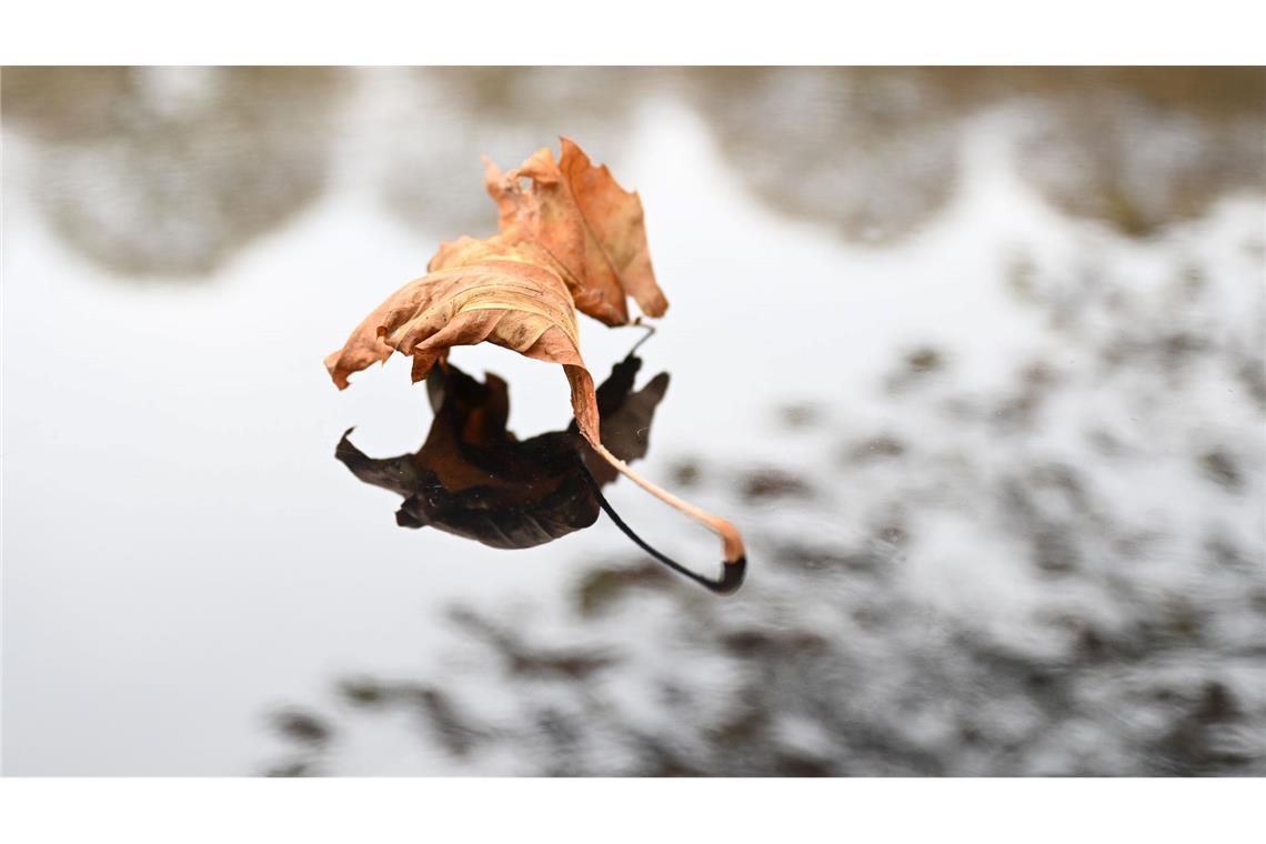 Bilder des Tages Kühle Temperaturen im Herbst: Ein Blatt liegt auf einem Autodach.