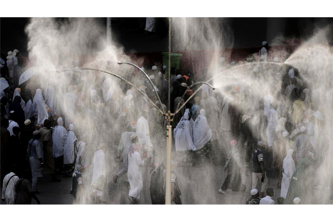 Bilder des Tages