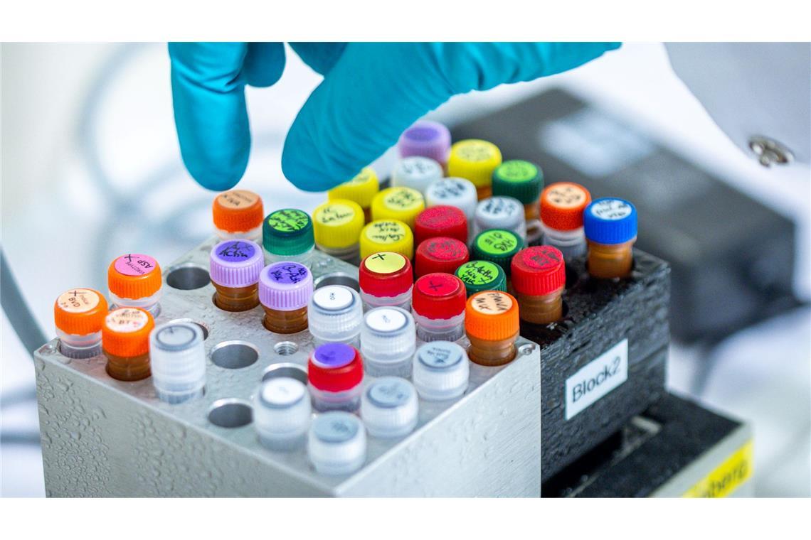 Künftig sollen auch Patente für gentechnisch veränderte Pflanzen möglich sein.