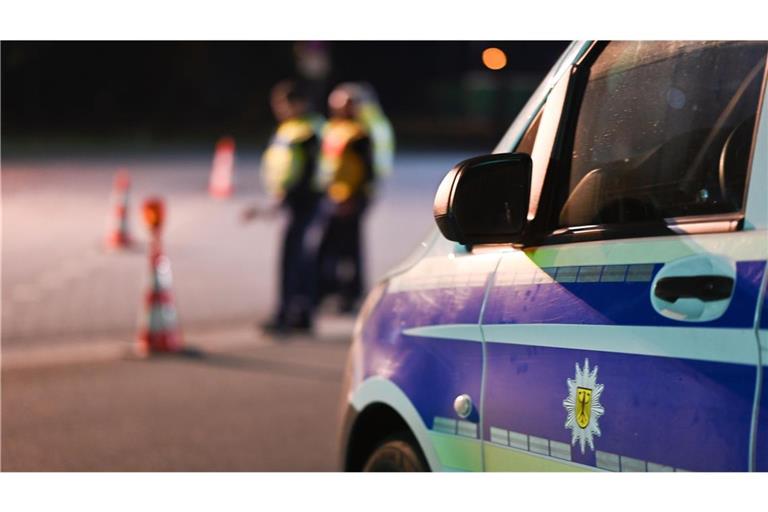 Künftig sollen mehr Bundespolizisten als bisher die deutschen Grenzen kontrollieren.
