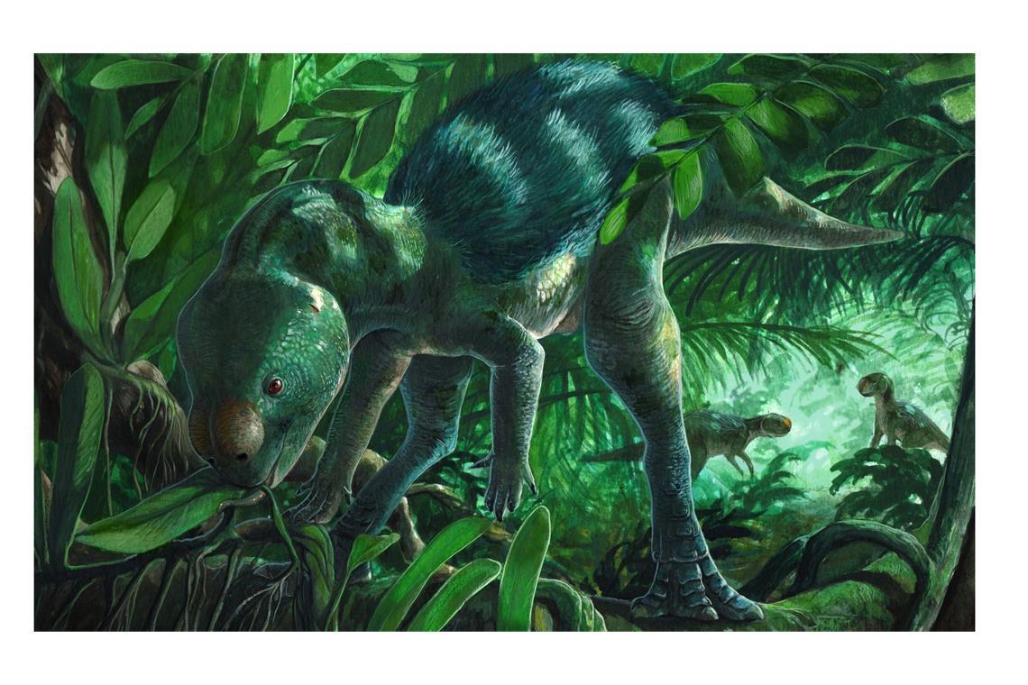 Künstlerische Darstellung des Mini-Dinosauriers Foskeia pelendonum. In Nordspanien haben Forscher Überreste dieser geradezu winzigen Dinosaurier entdeckt. Von der Schnauze bis zur Spitze seines langen Schwanzes messen die Mini-Dinos nur wenig mehr als einen halben Meter.