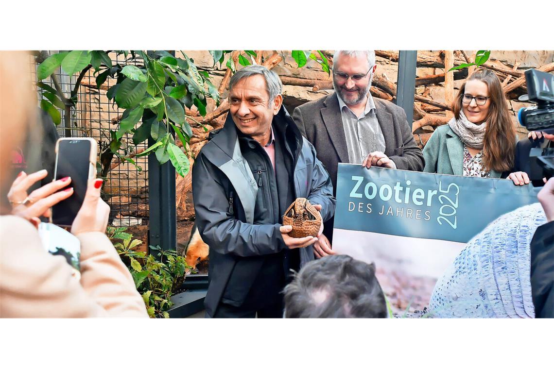 Zootier des Jahres ist auch in der Wilhelma in guten Händen Kugelgürteltiere in der Wilhelma.Kugelgürteltiere in der Wilhelma.