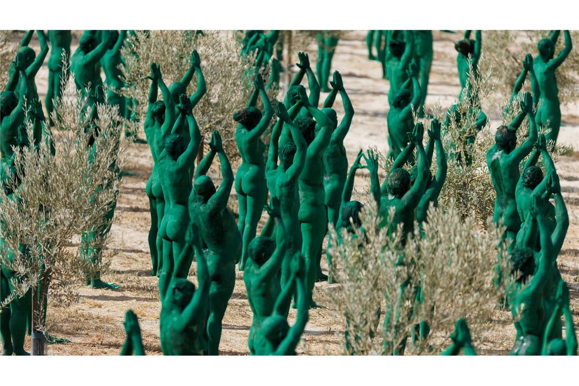 Bilder des Tages Kunstinstallation im Olivenhain