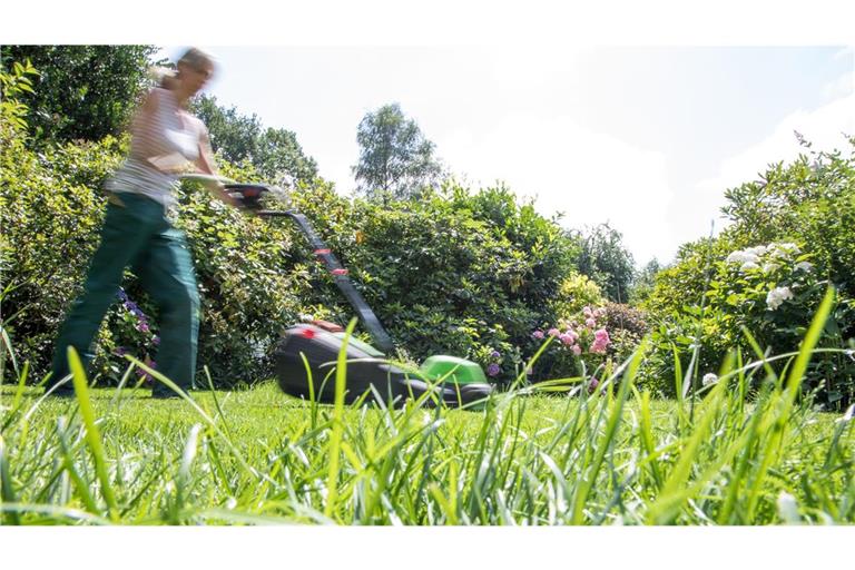 Kurz getrimmt oder dichtes Gras? Für Gartenliebhaber sowie für Tiere hat es viele Vorteile, wenn seltener gemäht wird.