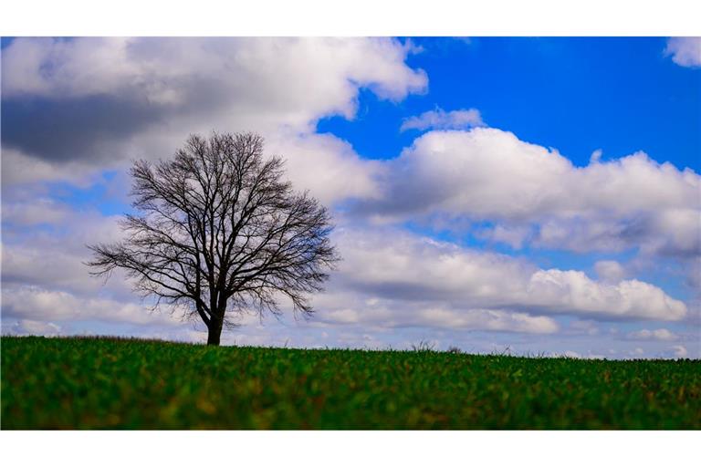 Landschaft kann so schön sein! Wolken ziehen am blauen Himmel über die Landschaft im südöstlichen Brandenburg.