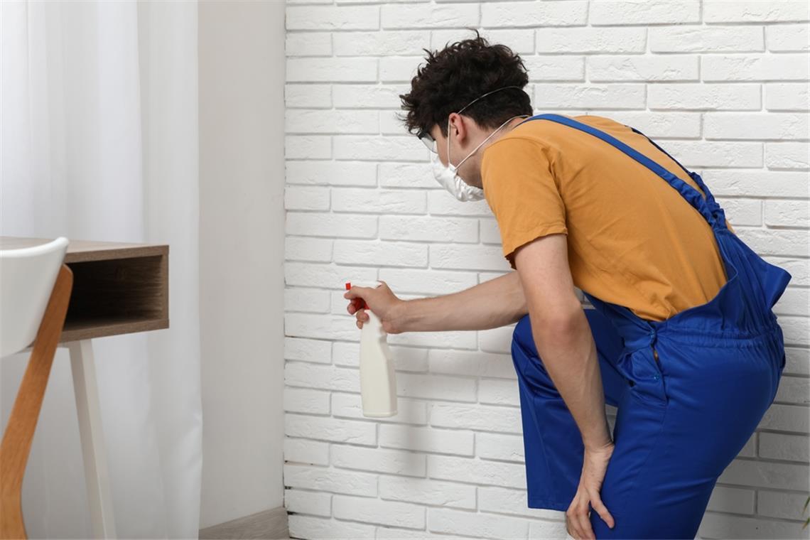 Diese Tipps gibt das Umweltbundesamt Lassen Sie den Schimmel gar nicht erst entstehen.