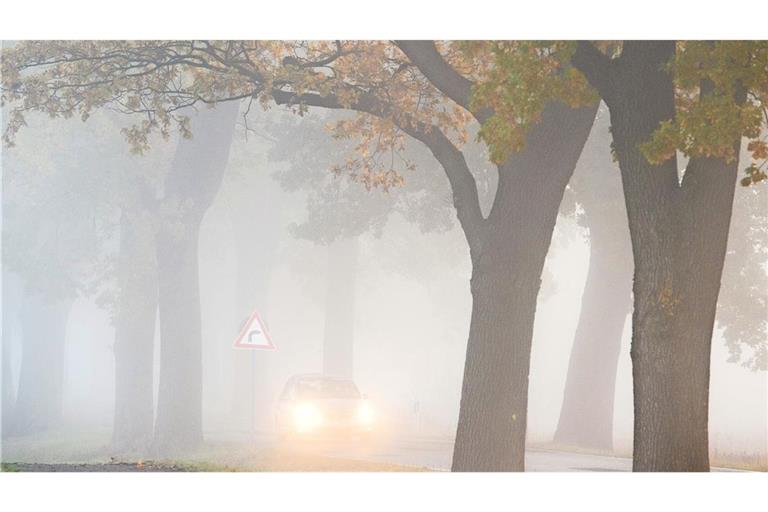 Laut Deutschem Wetterdienst (DWD) ist in Baden-Württemberg teils mit sehr eingeschränkter Sicht zu rechnen. (Symbolbild)
