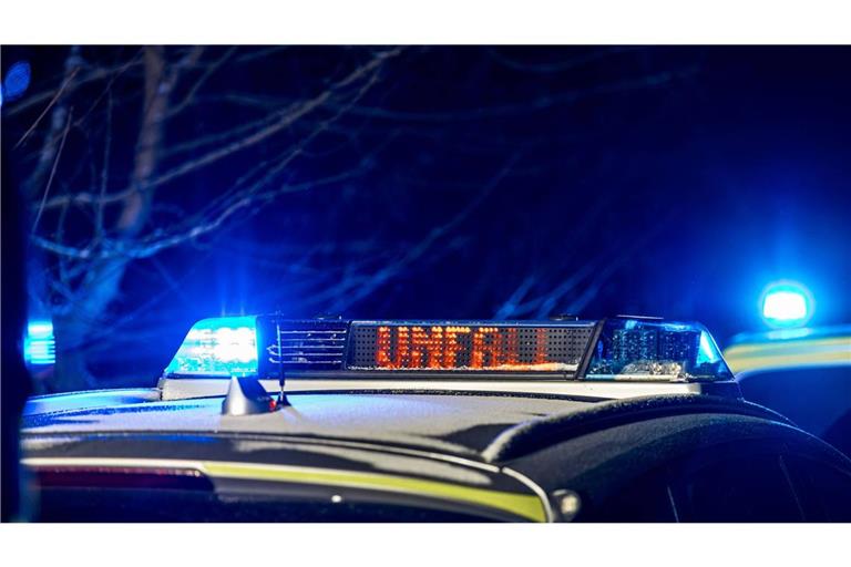 Laut Polizei ist unklar, warum der Senior von der Straße abkam. (Symbolbild)