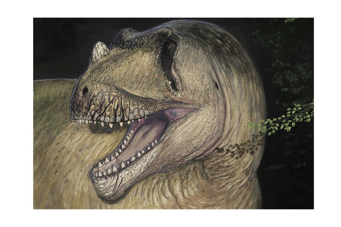 Forscher entdecken neue Saurierart auf über 80 Jahre alten Fotos Lebend-Rekonstruktion von Tameryraptor markgrafi.