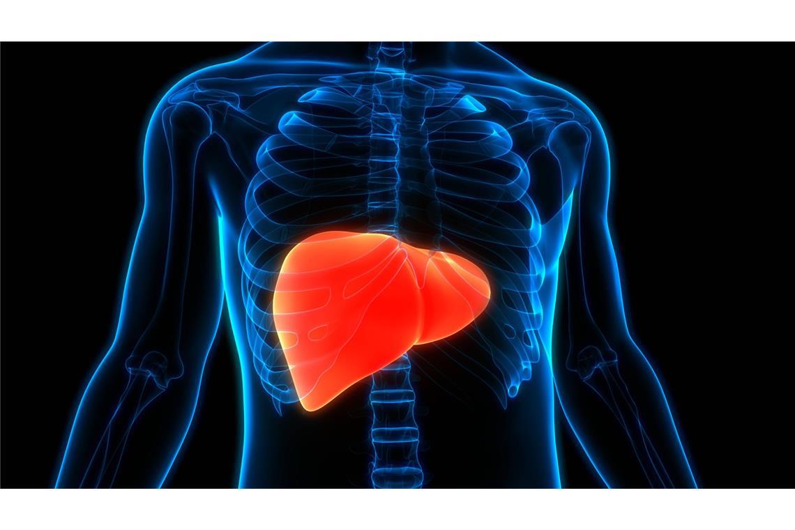 ​​​​​​​„Leberkrebs ist weltweit ein wachsendes Gesundheitsproblem. Er zählt zu den am schwierigsten zu behandelnden Krebsarten, mit Fünfjahres-Überlebensraten zwischen etwa 5 und 30 Prozent.“