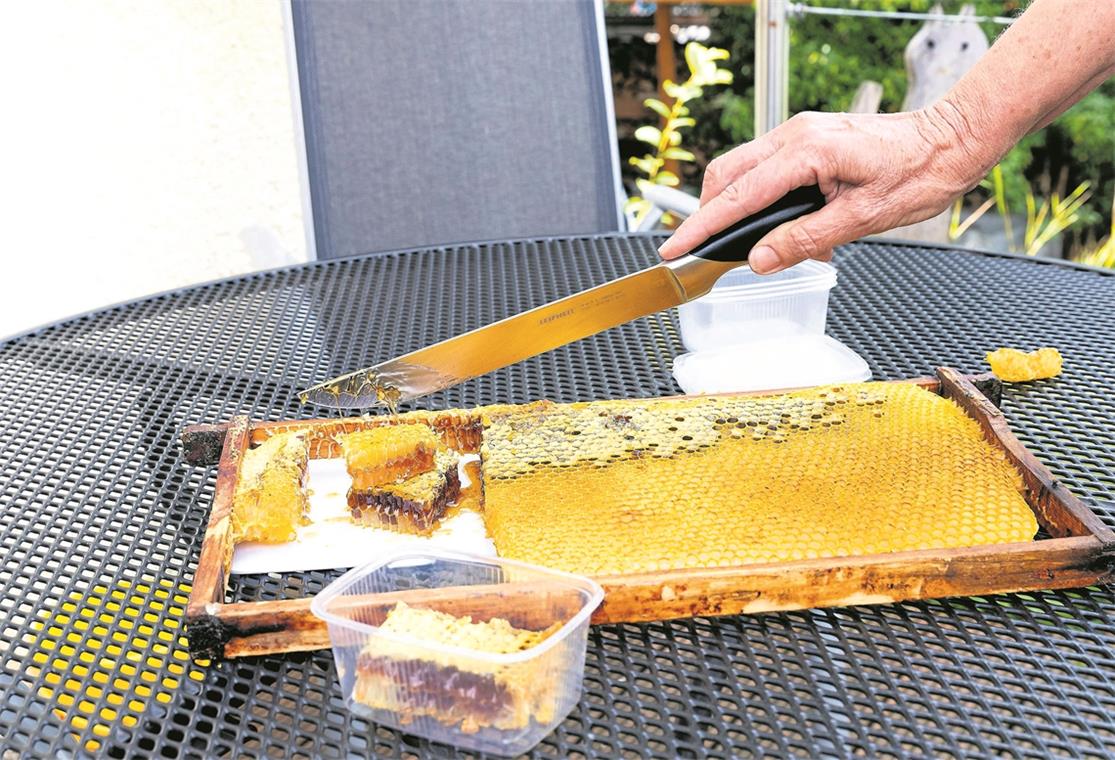 Die Lust auf eigenen Honig wecken Leckeres zum Naschen – und in Maßen auch noch gut für die Gesundheit: Der Wabenhonig wird in Stückchen geschnitten und dann portionsweise verpackt.