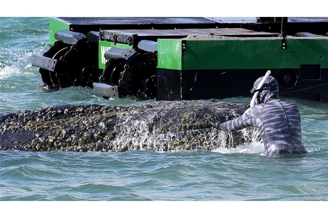 Lehmann dirigiert auch die Bagger, die als Teil der Rettungsversuche im Einsatz sind.