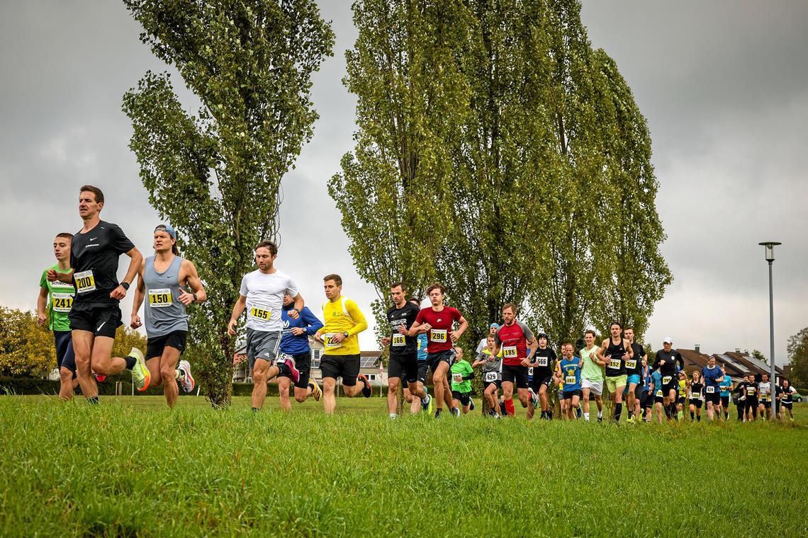 Sandra Burkhardt beim Laufcup-Abschluss mit einem starken Comeback Lennart Nies (Startnummer 200) und Emil Fast (150) laufen gleich vorneweg, der Rest hält nur kurz Anschluss. Das Duo macht den Sieg bei den Männern unter sich aus. Fotos: Alexander Becher