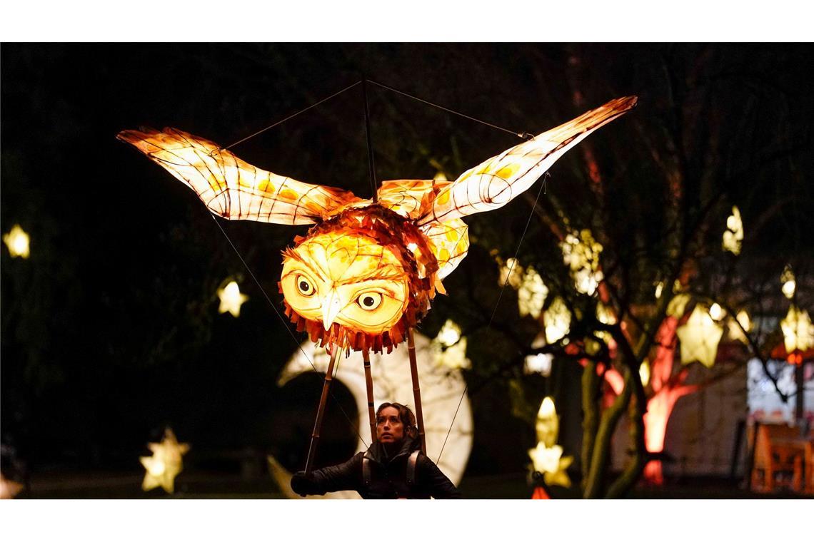 Bilder des Tages Lichterfest "Glow Wild" in Großbritannien