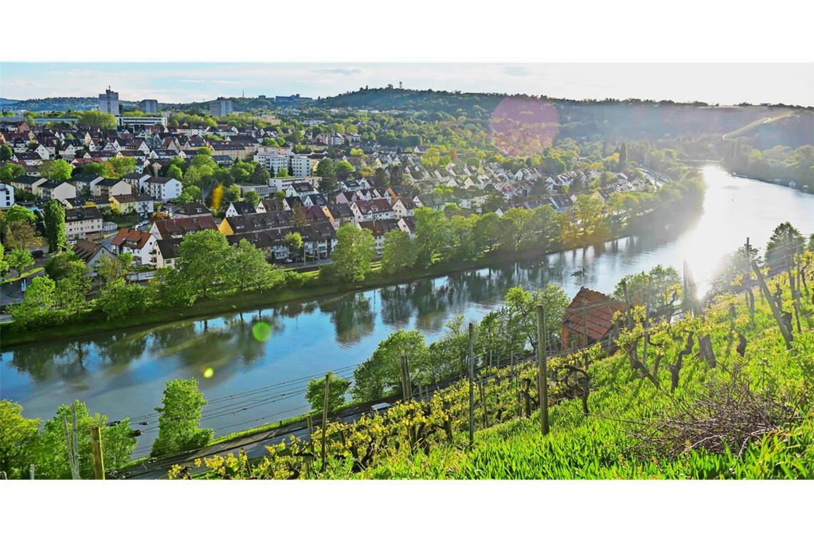 Liegt am Neckar und ist bezahlbar: Im Stuttgarter Bezirk Münster ist die Miete von 2024 auf 2025 im Mittel um mehr als zwei Euro pro Quadratmeter gesunken.
