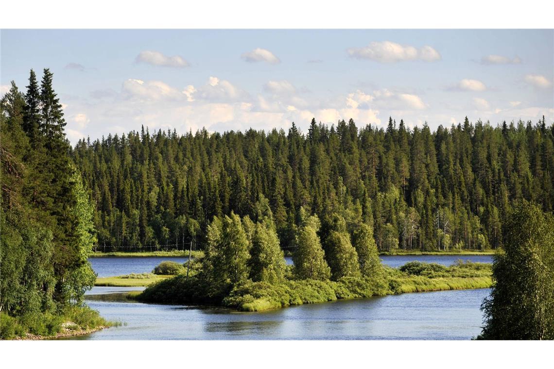 Liegt es an den finnischen Wäldern, dass die Nordeuropäer so glücklich sind? (Symbolbild)