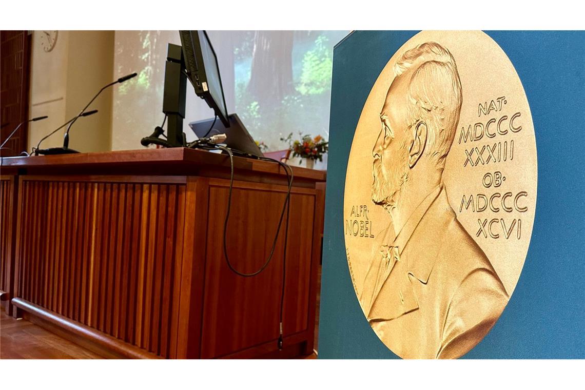 Große Preise, große Namen - Die Nobelpreis-Saison beginnt Los geht es traditionell mit der Bekanntgabe der Medizin-Nobelpreisträger im Nobelforum des Stockholmer Karolinska-Instituts. (Archivbild)