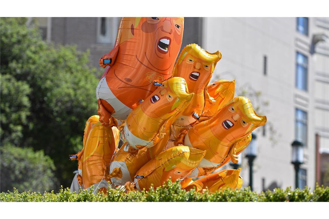 Luftballons mit dem Konterfei von US-Präsident Trump blicken hinter einem Busch hervor.