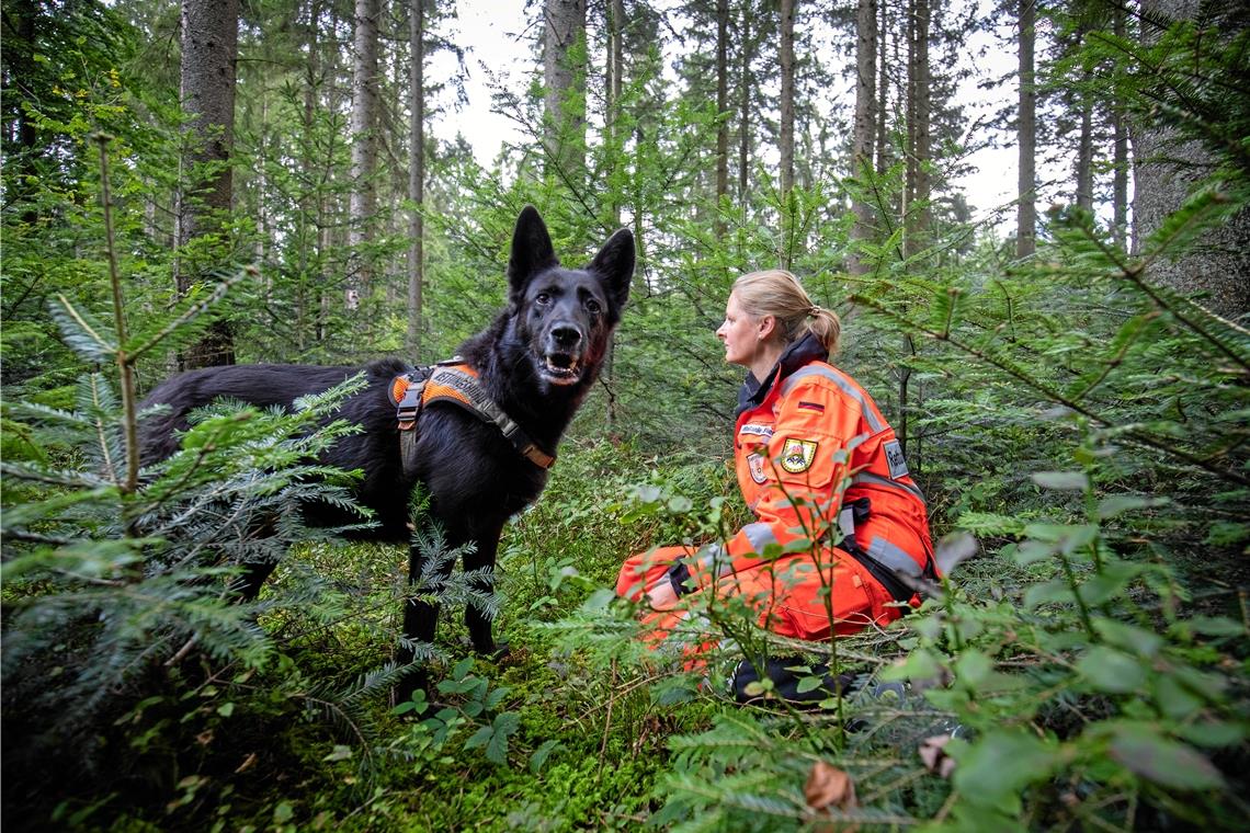 Luna hat bei ihrer Flächensuchtour Melanie Skender entdeckt. Sie bellt und bleibt so lange bei ihr, bis die Hundeführer eintreffen. Fotos: A. Becher