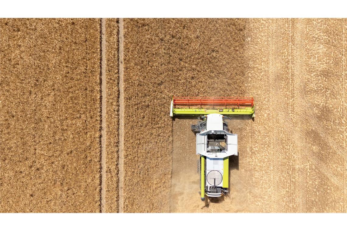 Landwirte hoffen auf durchschnittliche Ernte Mähdrescher rollen zur Ernte auf die ersten Äcker. (Archivbild)