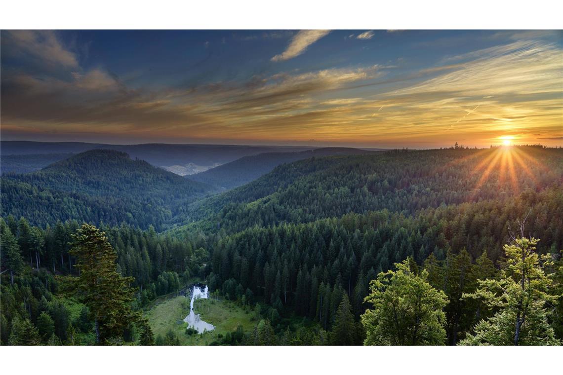 5 Wanderungen zum Sonnenaufgang Magischer Moment: Ein Blick auf den Ellbachsee von der Aussichtsplattform.