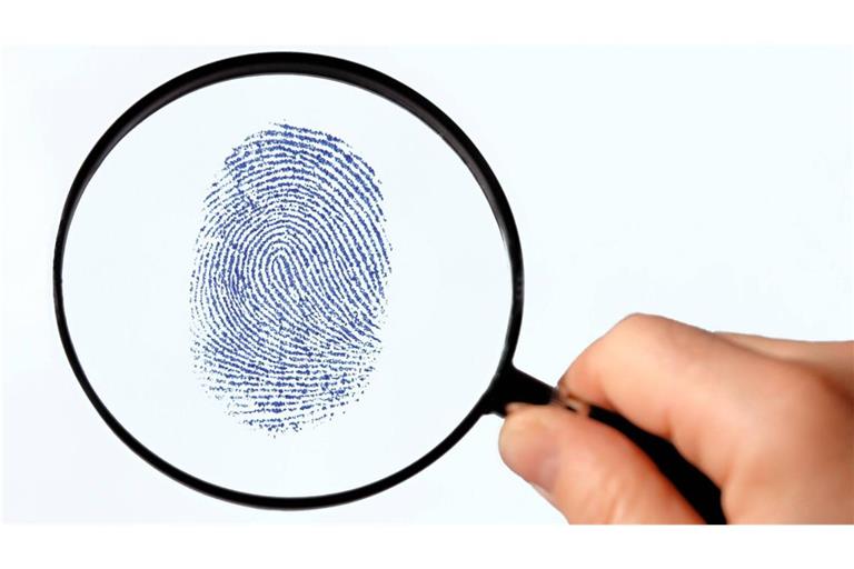 Malaysische Wissenschaftler sehen in den von den meisten Menschen als üble Schädlinge gefürchteten Bettwanzen ein neues Potenzial: Sie können in der Verbrechensbekämpfung eingesetzt werden.