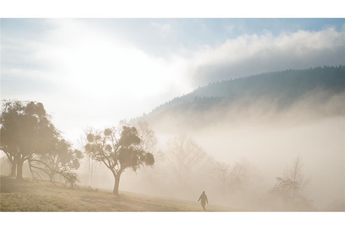 Mancherorts zeigt sich der Nebel im Südwesten, das Wetter bleibt wechselhaft.