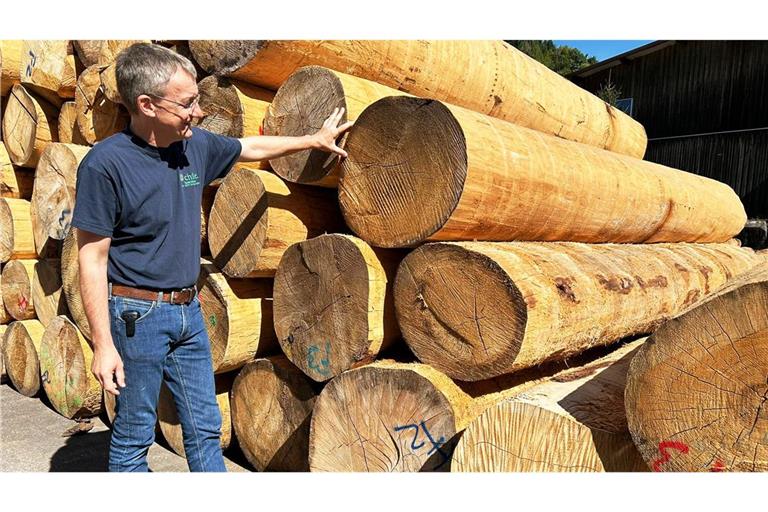 Manuel Echtle, Betreiber eines Sägewerks im Schwarzwald, befürchtet mit der geplanten EU-Entwaldungsverordnung einen Berg an Verwaltungsarbeit.