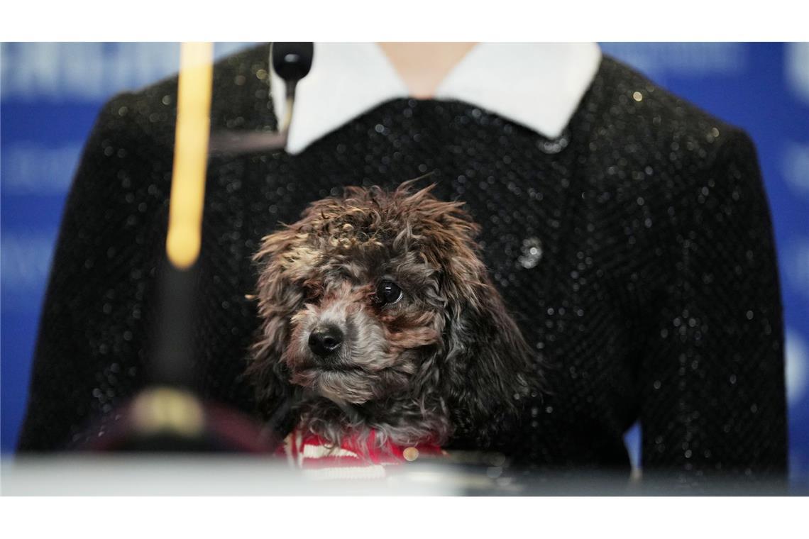 Margaret Qualley überrascht auf Pressekonferenz mit Hund Margaret Qualleys Hund heißt Smokey.