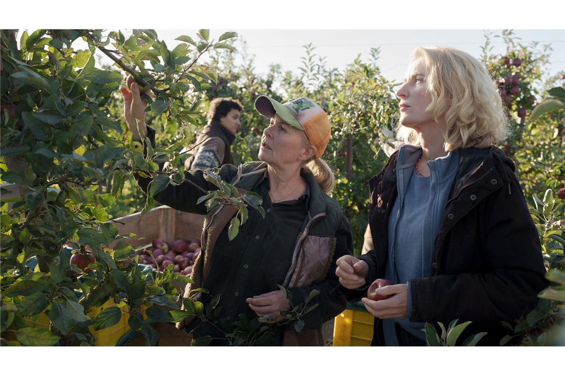 Marlies Feldhusen (Lina Wendel, M.) weist Charlotte (Maria Furtwängler, r.) in die Apfelernte ein.