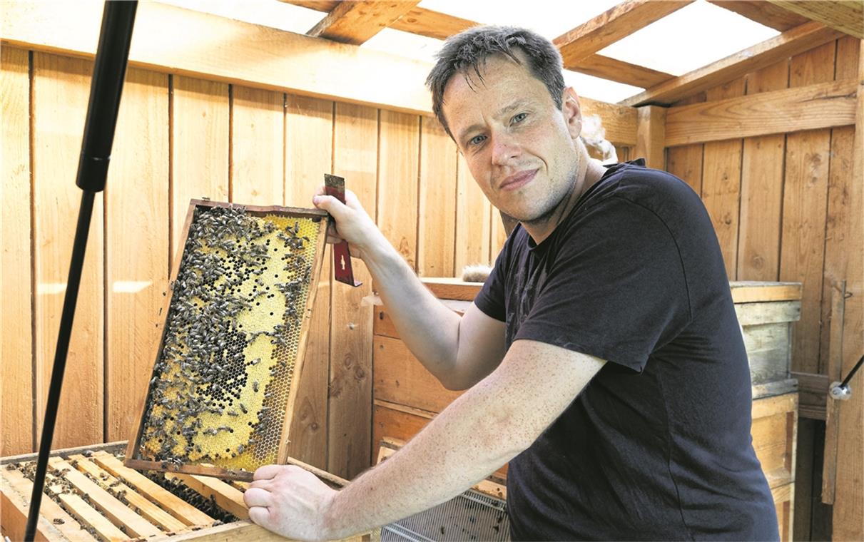 Martin Karpf gibt Einblick in den Lehrbienenstand. Fotos: J. Fiedler