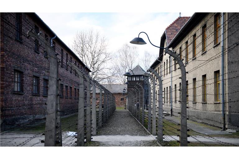 Mehr als eine Million Menschen wurden im Vernichtungslager Auschwitz-Birkenau von den Nazis ermordet. (Archivbild)