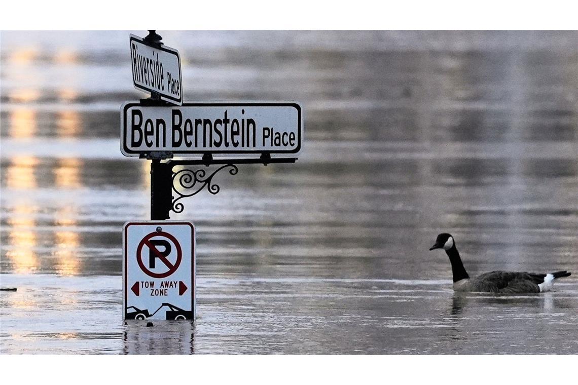 Mindestens 20 Tote bei Unwettern in den USA Mehrere Bundesstaaten erleben rekordverdächtige Regenfälle.