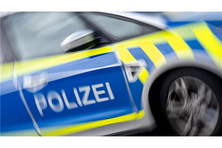 Mehrere Polizisten überwältigen den Mann. (Symbolbild)